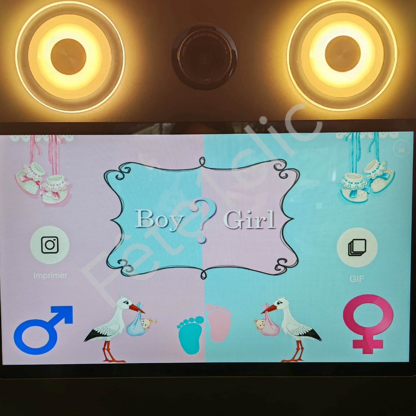 Écran d'accueil de baby shower sur la borne : « Boy ? Girl », rose et bleu, cigognes